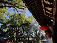 普陀山普濟寺：活大殿內照見本具圓通的心靈