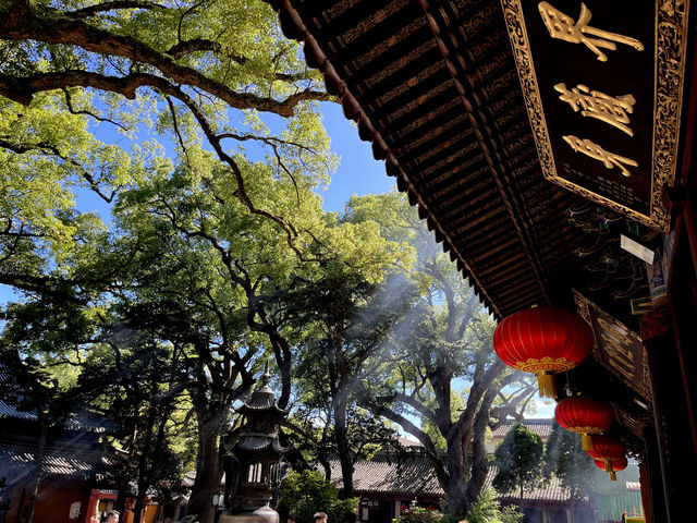 普陀山普濟寺：活大殿內照見本具圓通的心靈
