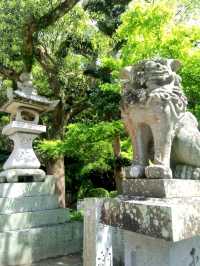 Path of Light: A Visit to Miyajidake Shrine