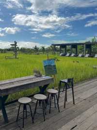 Fields, Sips & Serenity – Meena Café Magic in Kanchanaburi