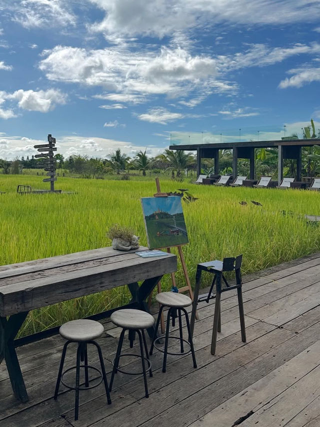 Fields, Sips & Serenity – Meena Café Magic in Kanchanaburi