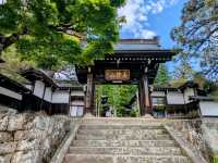 高山 | 素玄寺，東山遊步道的賞楓景點