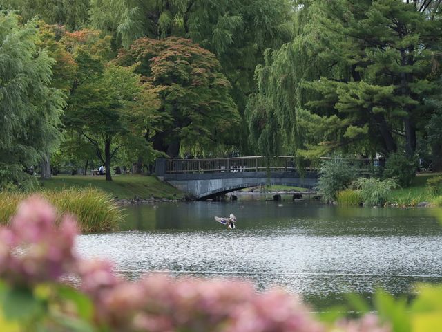蘊藏札幌四季風景的都會秘境/札幌中島公園
