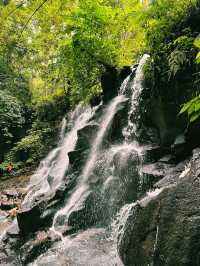 The Cascading Symphony of Kanto Lampo