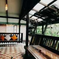 Tropical Whispers and Rustic Wonder