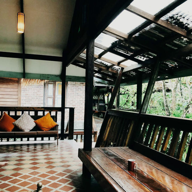 Tropical Whispers and Rustic Wonder