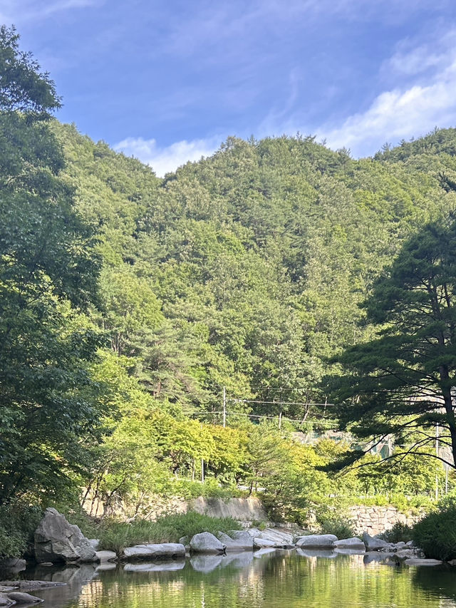 거창 월성계곡- 물놀이 하기 좋은 여름 휴양지! 