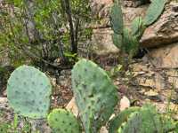 Jacob’s Well Natural Area – Wimberley