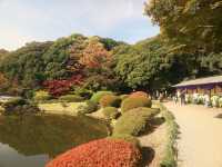 極品景點：四季皆美的東京城市綠洲