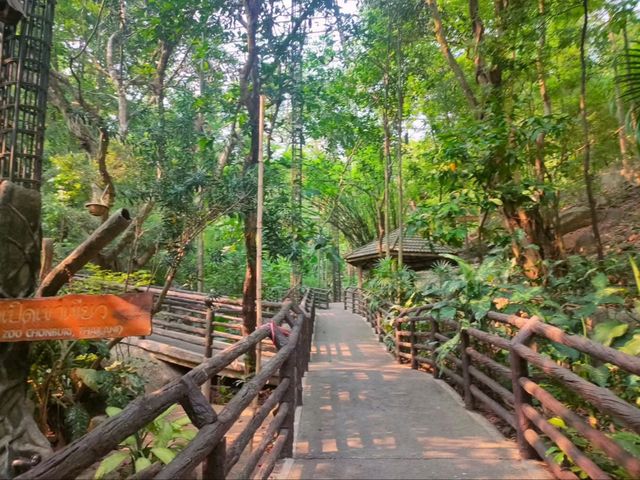 Get Wild at Khao Kheow Open Zoo