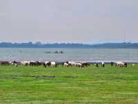 จุดกางเต็นท์บ้านหาดเล็บยาว นิวซีแลนด์เมืองไทย