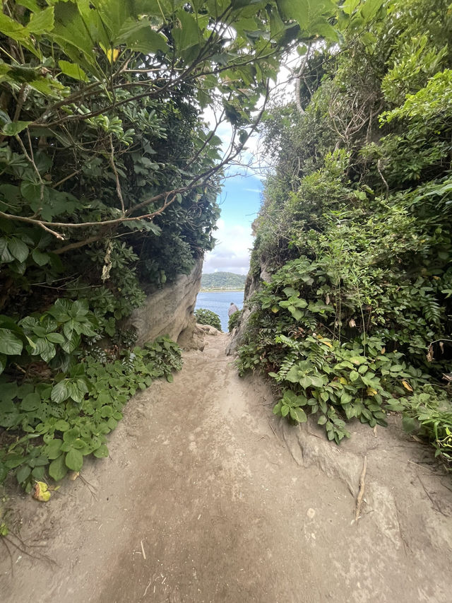 房総館山巡り