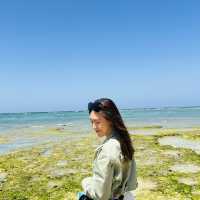 Café with a View - Okinawa’s Scenic BANTA Café 🫧