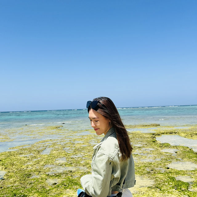 Café with a View - Okinawa’s Scenic BANTA Café 🫧