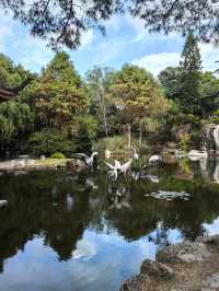 Xiamen Botanical Garden 🪴 