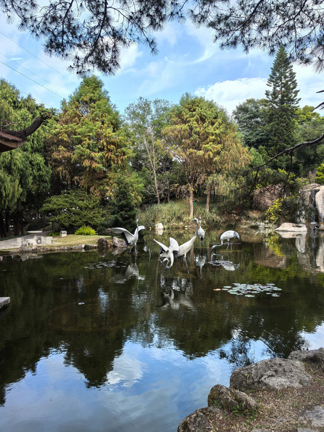 Xiamen Botanical Garden 🪴 