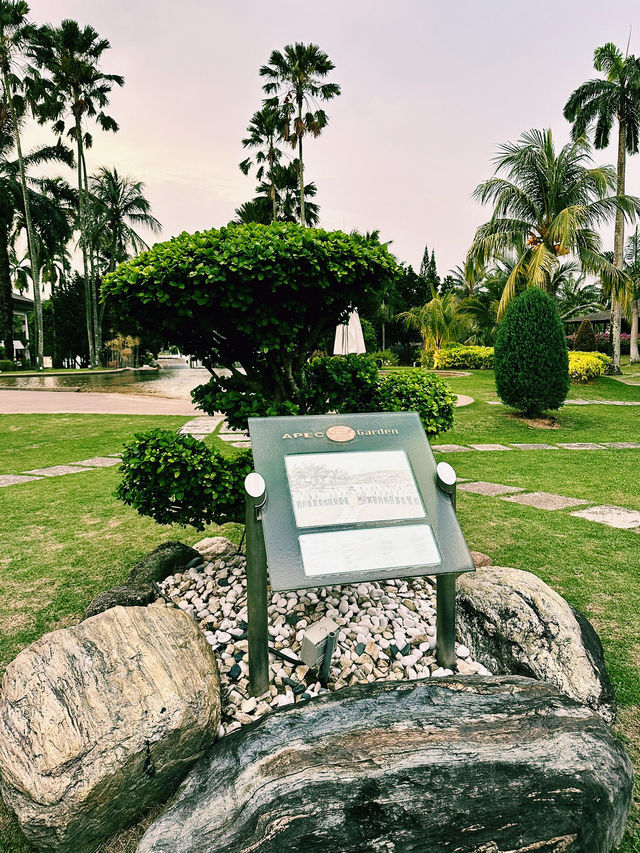 Stroll Through Serenity at Cyberview Resort’s APEC Garden