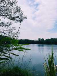 A Lakeside Stroll to Remember at Paya Indah Wetlands