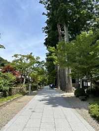 【静岡】 毎年恒例の風鈴を使ったイベント《遠州三山風鈴祭り》