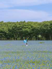 (실시간) 파란 물결 시작된 아그로랜드🌿💙