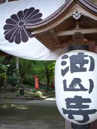 【静岡】 山全体が霊域 緑に癒され静岡最古の塔も・・