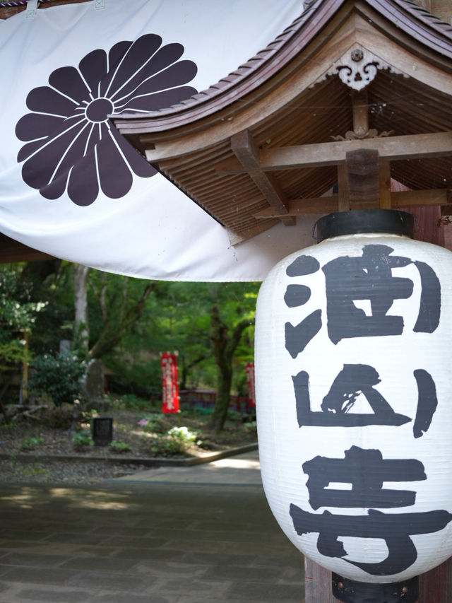 【静岡】 山全体が霊域 緑に癒され静岡最古の塔も・・