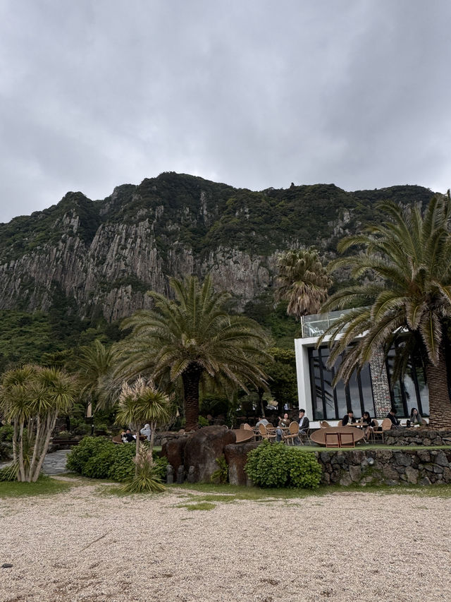 Jeju Island Trip