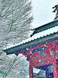 下雪的北口本宮富士浅間神社 
