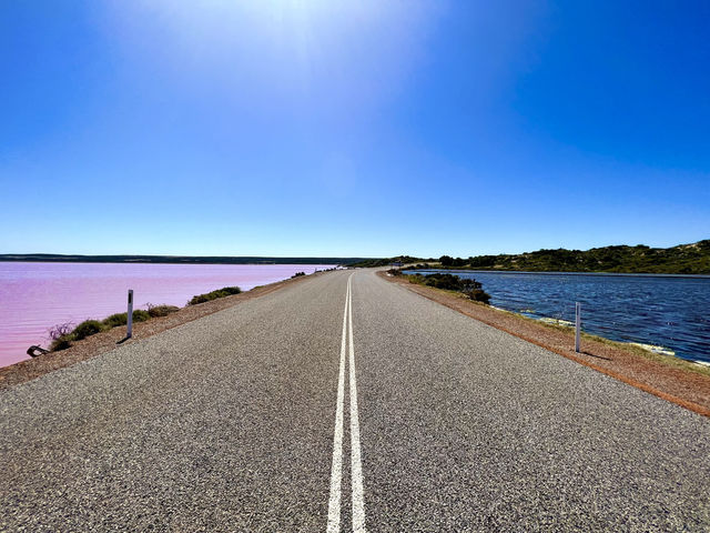 Looks like Strawberry Milk 🍓 Hutt Lagoon WA