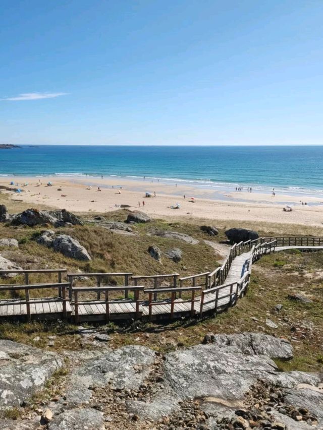 Peaceful Waves and Pine Trees at Praia do Vilar