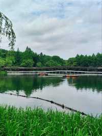 Yuhu Bay - West Lake’s Best-Kept Secret