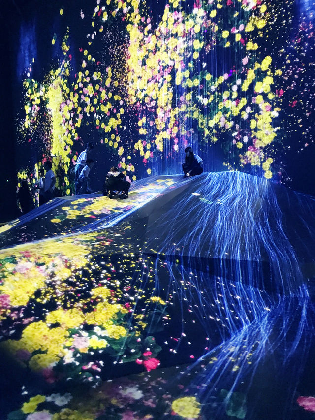 🌊✨【まるで夢の中】チームラボプラネッツ東京 DMM