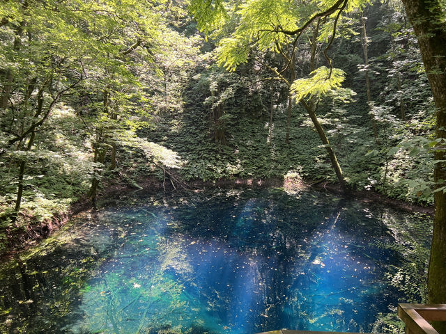 湛藍至極的青池 青森必去的景點