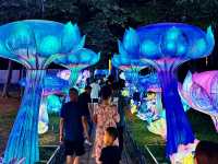 🤩 Qingdao's Zhongshan Park: A Magical Summer Night Lantern Fair! ✨