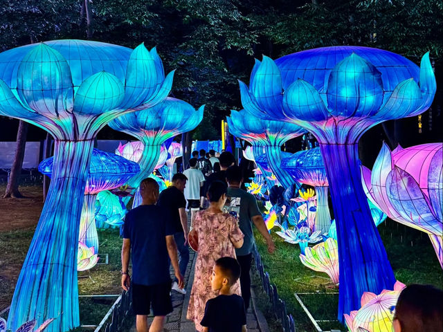 🤩 Qingdao's Zhongshan Park: A Magical Summer Night Lantern Fair! ✨