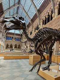 Oxford University Museum of Natural History: A Feast of Nature and History