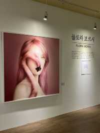 괴산에 생긴 신상 전시!