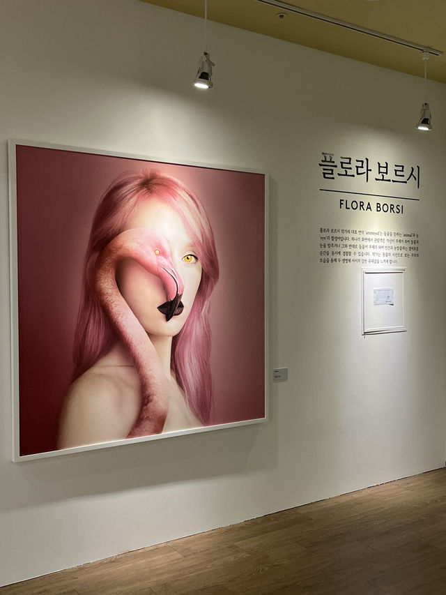 괴산에 생긴 신상 전시!