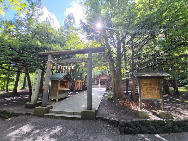 參道森林與祈福笑顏交織的北海道神宮之旅 參道森林與祈福笑顏交織的北海道神宮之旅