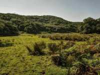 Wandering Through the Steamy Trails of Huangzuishan Ecological Conservation Area