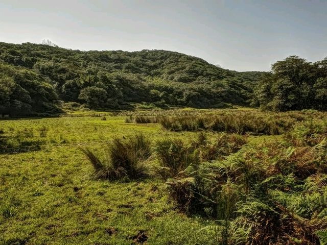 Wandering Through the Steamy Trails of Huangzuishan Ecological Conservation Area