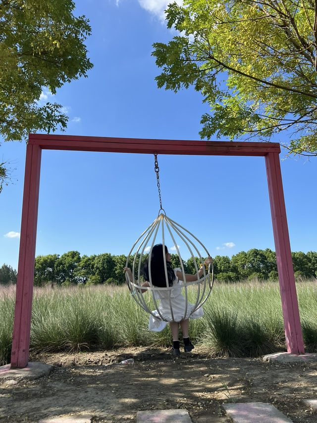 Jiabei Country Park Travel Guide｜A Floral & Countryside Escape Near Shanghai