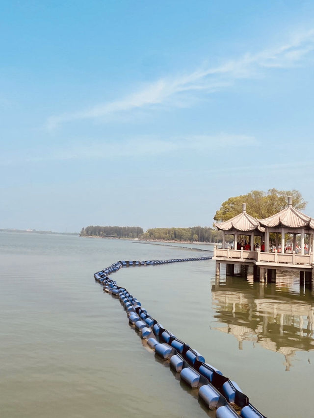 A Photographer's Dream of Serene Water and Sky
