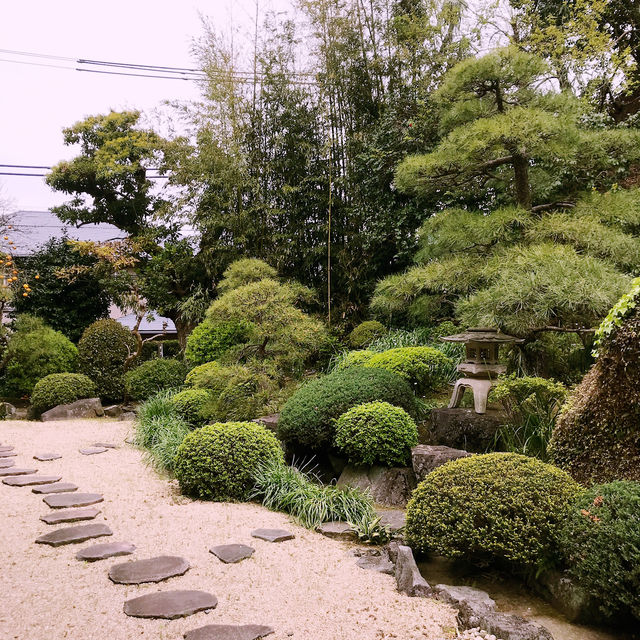秋の紅葉を訪ねて — 昇天山 金龍禅院(横浜) 秋の紅葉を訪ねて — 昇天山 金龍禅院(横浜)