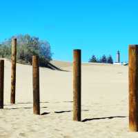 Sun, Sand, and Scenic Dunes in Maspalomas 