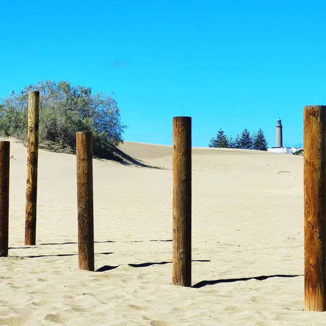 Sun, Sand, and Scenic Dunes in Maspalomas 