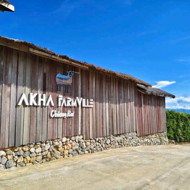 Akha FarmVille  ฟาร์มแกะสุดชิค