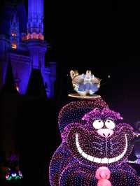 ディズニーランドで見れる夜の光のパレード！