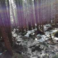 High Tatras, Slovakia