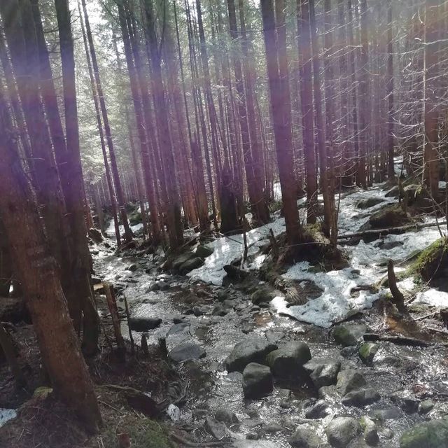 High Tatras, Slovakia